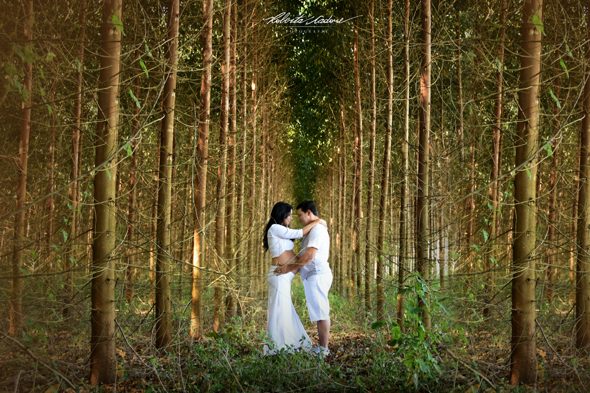 book gestante, fotos gravida, album gestante, ensaio newborn, fotos gravidez_DSC_0032